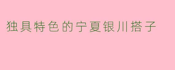 独具特色的宁夏银川搭子