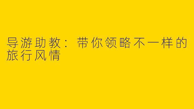 导游助教:带你领略不一样的旅行风情