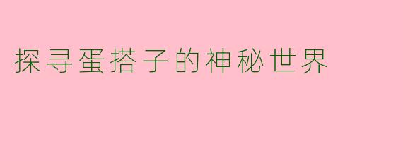 探寻蛋搭子的神秘世界