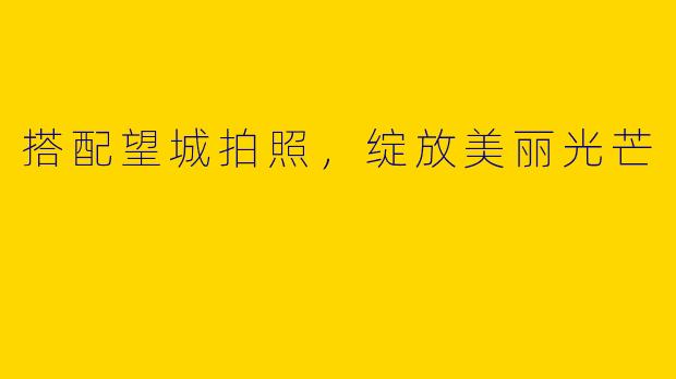 搭配望城拍照，绽放美丽光芒