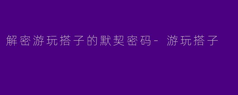 解密游玩搭子的默契密码