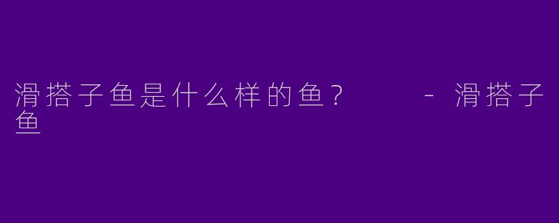 滑搭子鱼是什么样的鱼？  