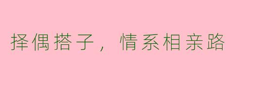 择偶搭子，情系相亲路