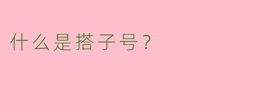 什么是搭子号?