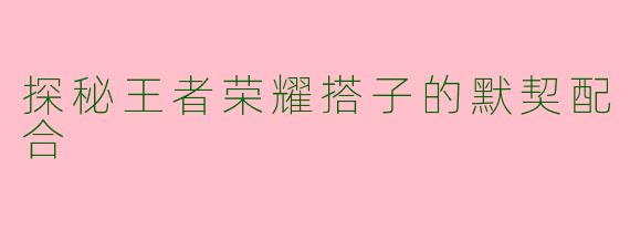 探秘王者荣耀搭子的默契配合
