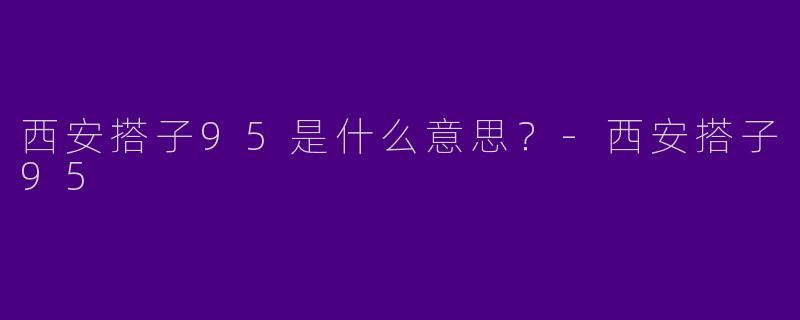 西安搭子95是什么意思?