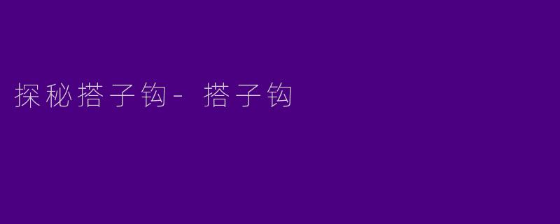 探秘搭子钩-搭子钩