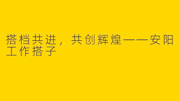 搭档共进，共创辉煌——安阳工作搭子