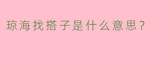 琼海找搭子是什么意思?