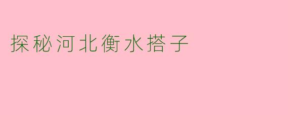 探秘河北衡水搭子