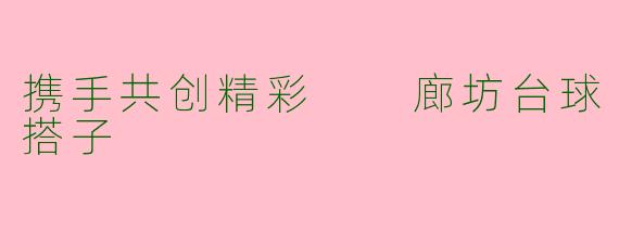 携手共创精彩  廊坊台球搭子