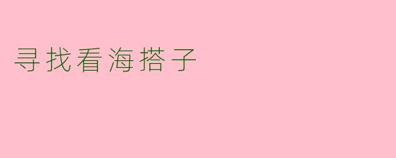 寻找看海搭子
