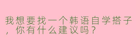 我想要找一个韩语自学搭子,你有什么建议吗?