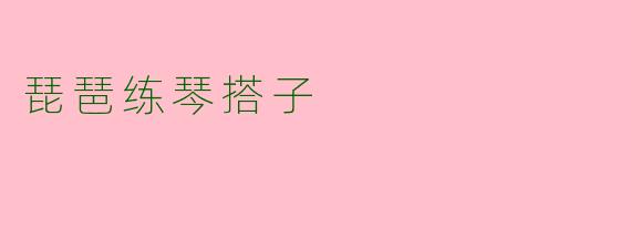 琵琶练琴搭子