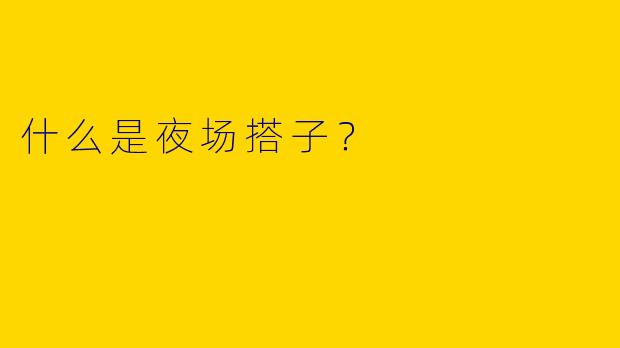 什么是夜场搭子?