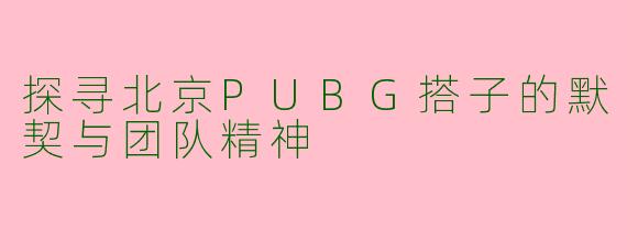 探寻北京PUBG搭子的默契与团队精神