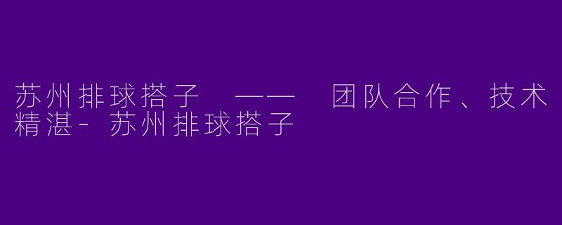 苏州排球搭子 —— 团队合作、技术精湛