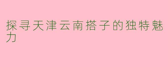 探寻天津云南搭子的独特魅力