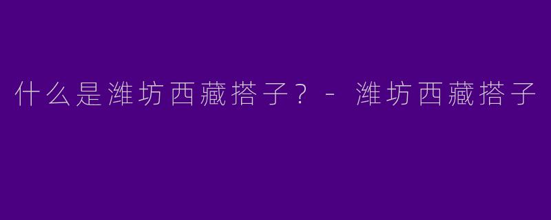 什么是潍坊西藏搭子?