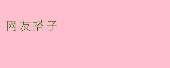 网友搭子