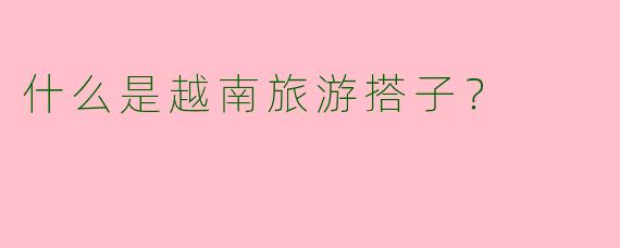 什么是越南旅游搭子?