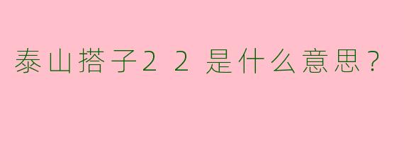 泰山搭子22是什么意思?