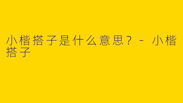 小楷搭子是什么意思?