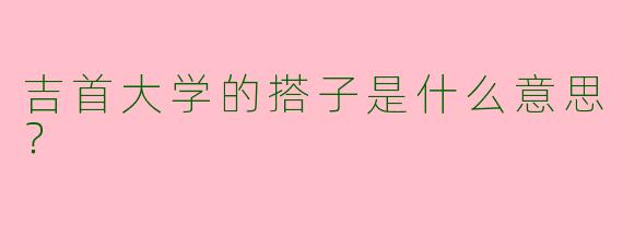 吉首大学的搭子是什么意思?