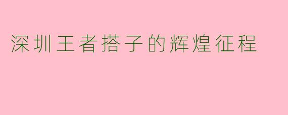 深圳王者搭子的辉煌征程