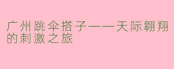 广州跳伞搭子——天际翱翔的刺激之旅