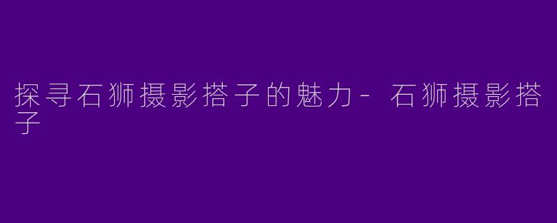 探寻石狮摄影搭子的魅力-石狮摄影搭子