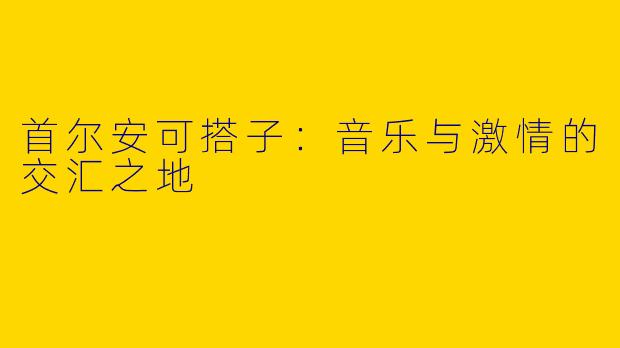 首尔安可搭子:音乐与激情的交汇之地