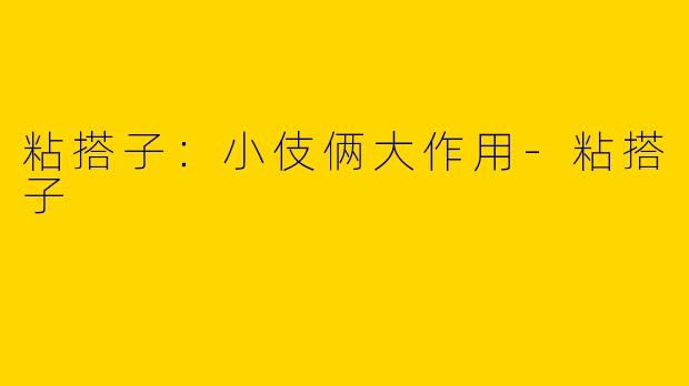 粘搭子：小伎俩大作用-粘搭子