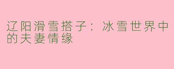 辽阳滑雪搭子：冰雪世界中的夫妻情缘