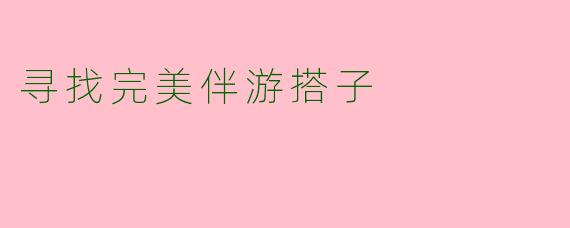 寻找完美伴游搭子
