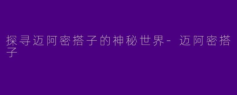 探寻迈阿密搭子的神秘世界