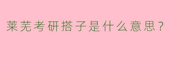 莱芜考研搭子是什么意思?
