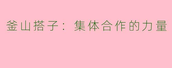 釜山搭子：集体合作的力量