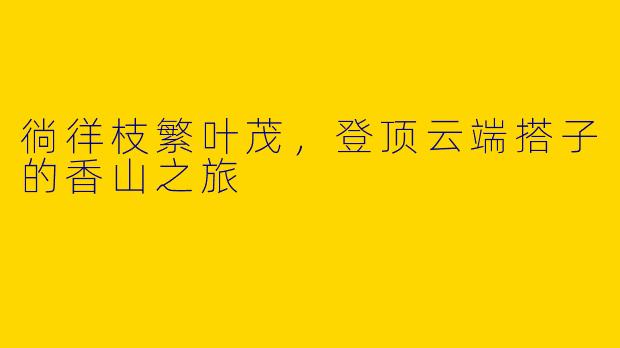 徜徉枝繁叶茂，登顶云端搭子的香山之旅