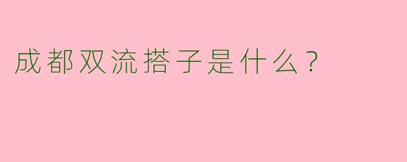 成都双流搭子是什么？