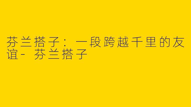 芬兰搭子：一段跨越千里的友谊-芬兰搭子