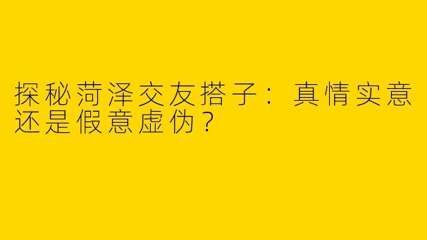 探秘菏泽交友搭子：真情实意还是假意虚伪？