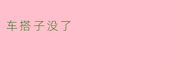 车搭子没了