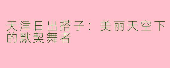 天津日出搭子：美丽天空下的默契舞者