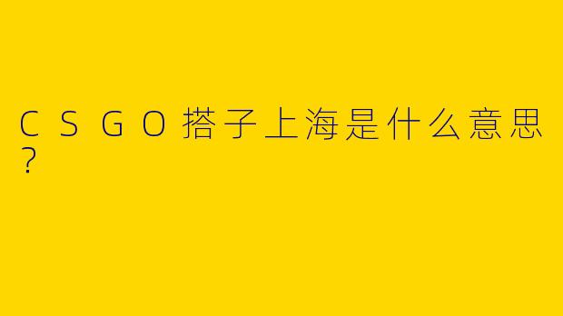 CSGO搭子上海是什么意思?