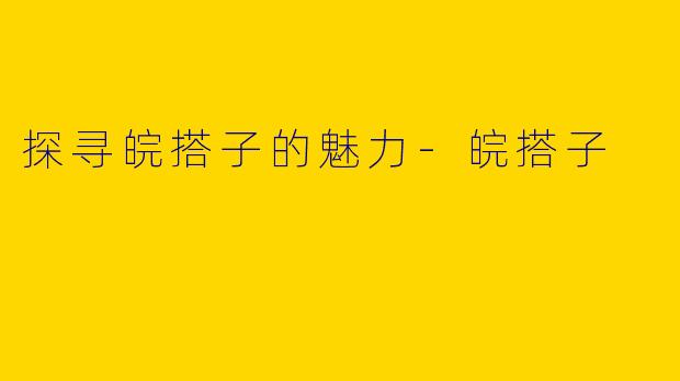 探寻皖搭子的魅力