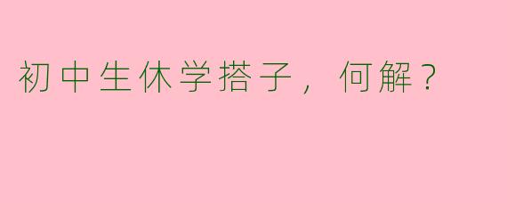 初中生休学搭子，何解？
