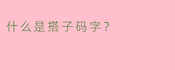 什么是搭子码字?