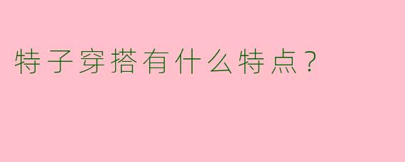 特子穿搭有什么特点?