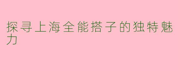 探寻上海全能搭子的独特魅力